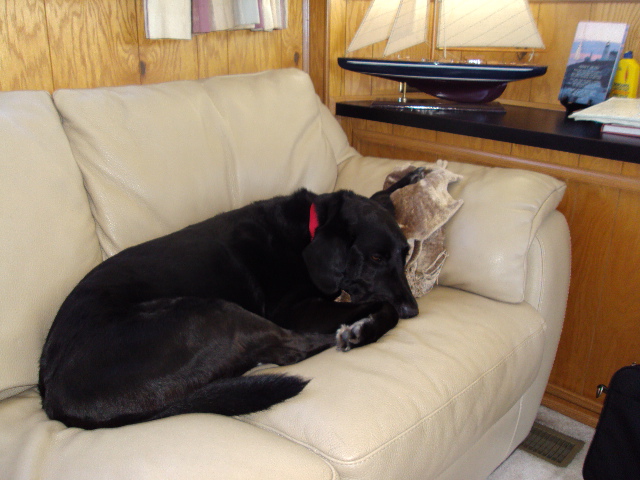 memorial day wkend 2009 003