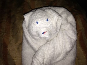 Towel Bear